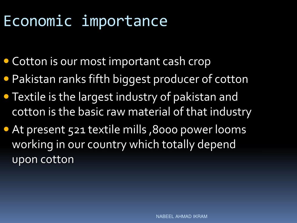 the importance of cotton
