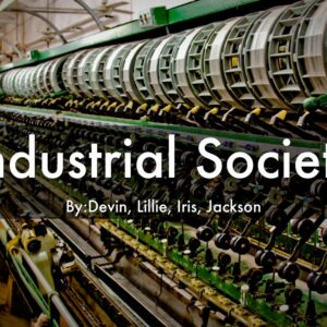 the industrial society